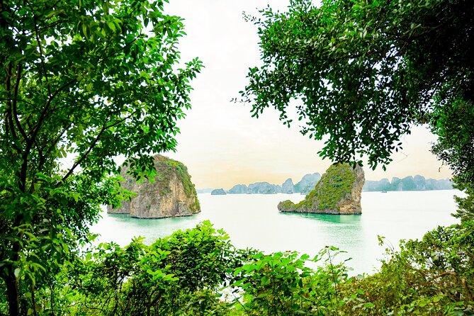 1-Day Bai Tu Long Bay Cruise: Pristine, Fun & Away fr the Crowds - The afternoon return toward the harbor