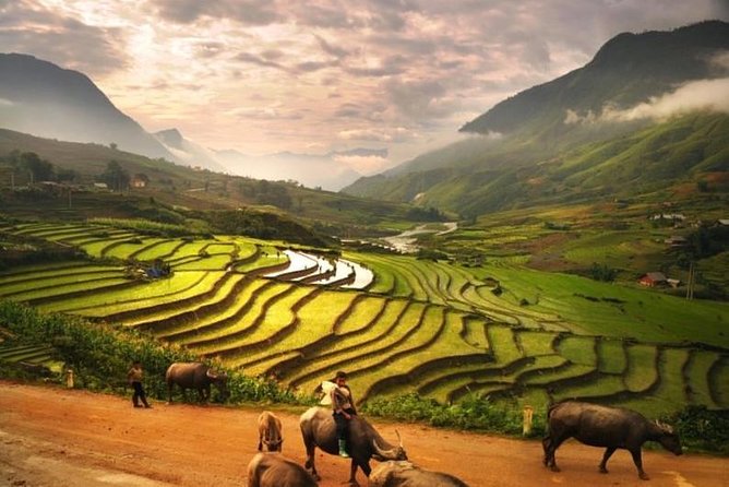 15-Day Majestic Vietnam FULL Package - 68% OFF + Bonuses - Days 6 to 8: Hoi An, My Son, and free time