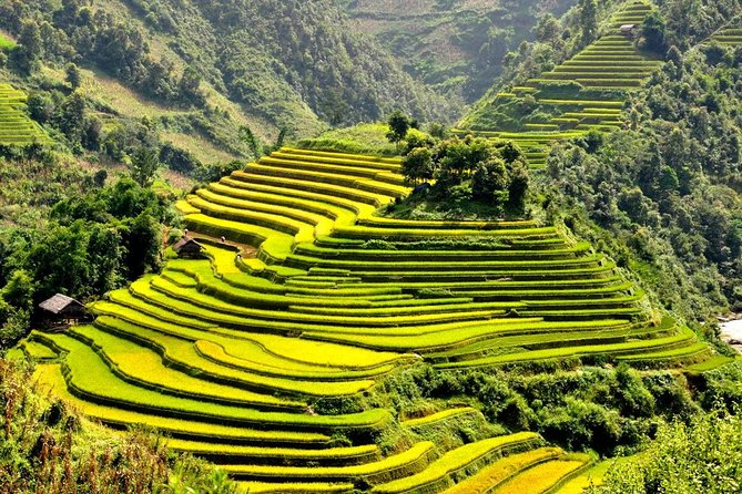 15-Day Majestic Vietnam FULL Package - 68% OFF + Bonuses - Days 11 to 13: Ho Chi Minh City, the Mekong, and Cu Chi