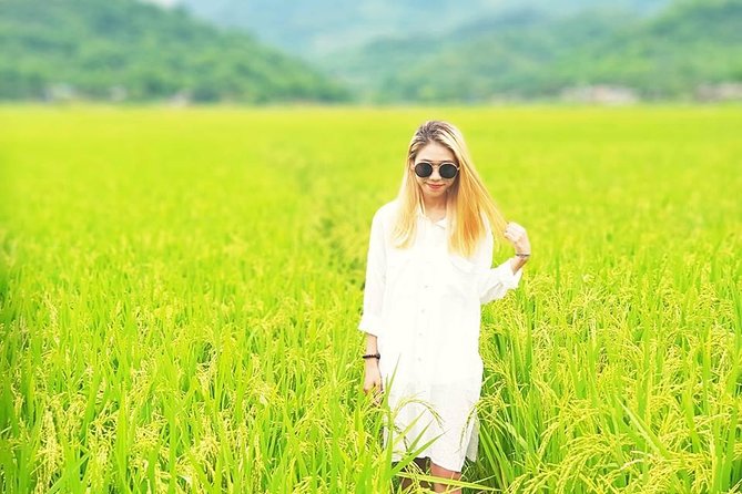 2-Day Mai Chau Valley Tour from Hanoi - Arriving in Mai Chau and settling into a stilt house