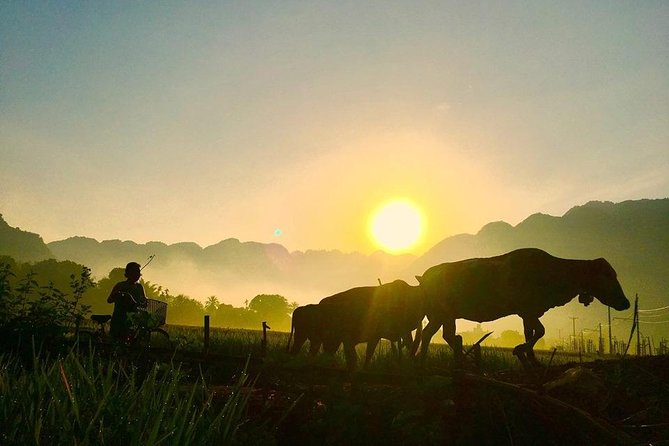2-Day Mai Chau Valley Tour from Hanoi - What the guide and group format add