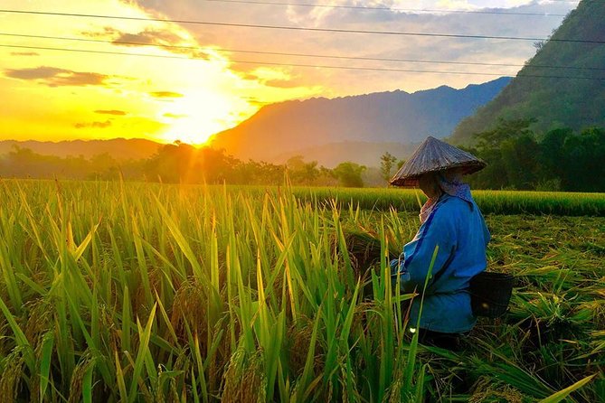 2-Day Mai Chau Valley Tour from Hanoi - Is $114.90 a fair price?