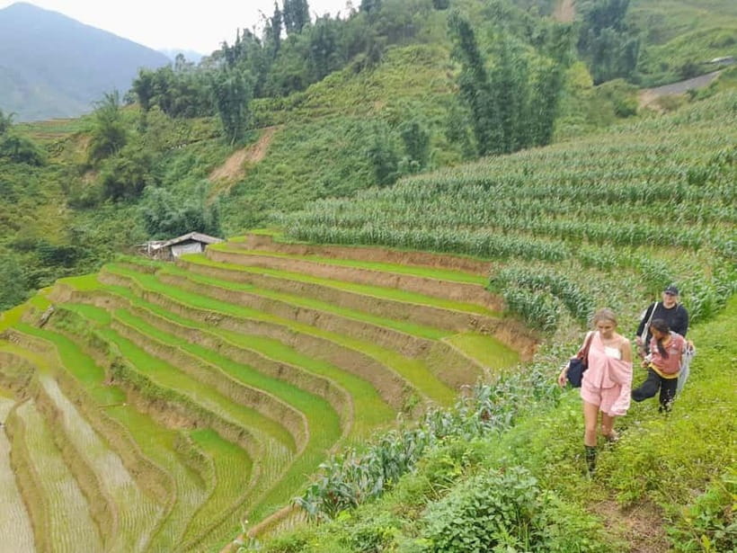 2-Day Sa Pa Ethnic Homestay Tour & Trek with Limousine Bus - How difficult is the trekking?