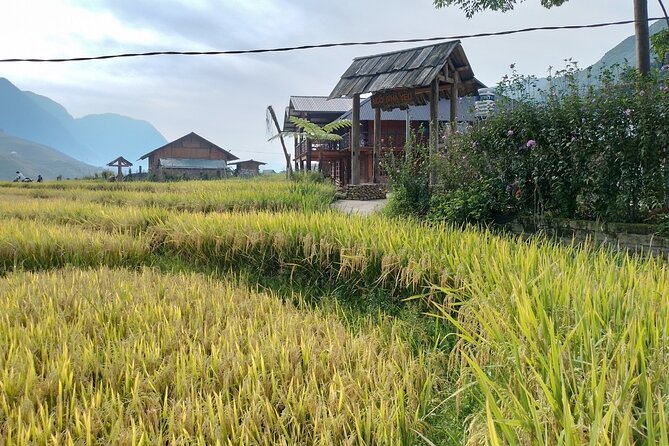2-Day Sapa Guided Tour Slipping in Homestay From Hanoi - Silver Waterfall and O Quy Ho Pass by motorbike
