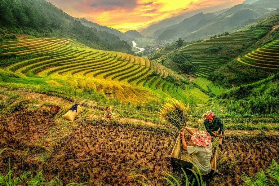 2-Day Sapa Tour - Overnight in Ta Van Village (All in One) - What the Ta Van homestay is really like