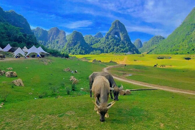 2 Day Tour in Ban Gioc Waterfalls from Hanoi - The 300 Steps to Ban Gioc Pagoda