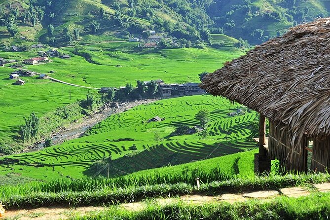 2-Day Trekking Adventure of Sapa from Hanoi with Night Bus - Y Linh Ho and Lao Chai: the strongest scenery of day one