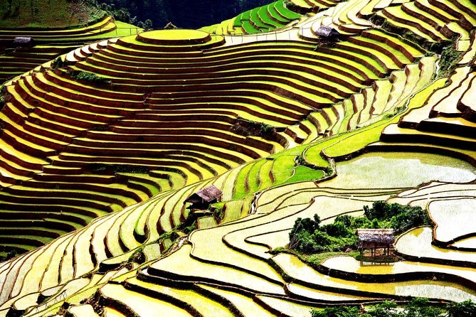 2 days 3 Nights Sapa Trekking Tour by Night Train from Hanoi - Should you book this Sapa train and trekking tour?
