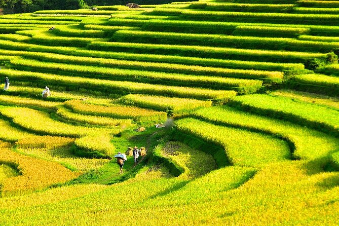 2 Days Pu Luong Offbeat Trekking Best for Mountain Lovers - Day two: water wheels, a suspension bridge, and bamboo rafting