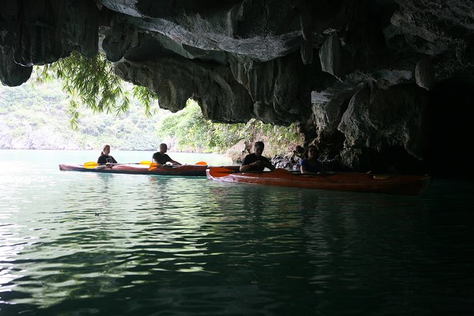 3-Day Cruise Relaxing and Kayaking on Oriental Sails - Day two: Tai Chi, kayaking, and a swim