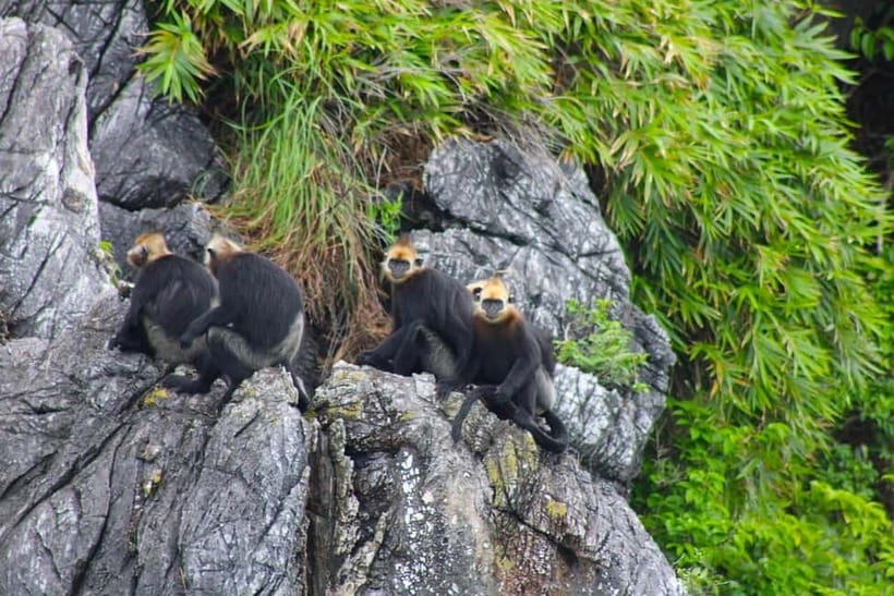 3-Day Discover the most stunning Cat Ba Island - Lan Ha Bay - Why this Cat Ba trip feels different