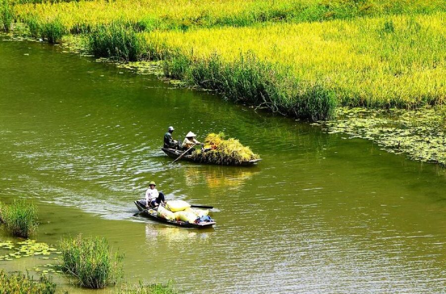 3-Day Ninh Binh Bungalow & Ha Long Bay 5 Star Cruise - Should you book this Ninh Binh and Halong Bay tour?