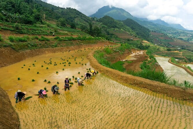 3-Day Pu Luong Natural Reserve from Hanoi, Trek with Local Guide - What the $475 price really covers