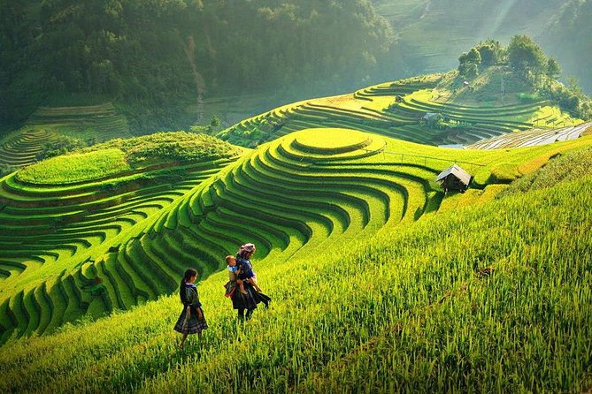 3-Day Sapa Real Valley View Homestay & Fansipan–Roof of Indochina - Day three: free time, lunch, and the ride back