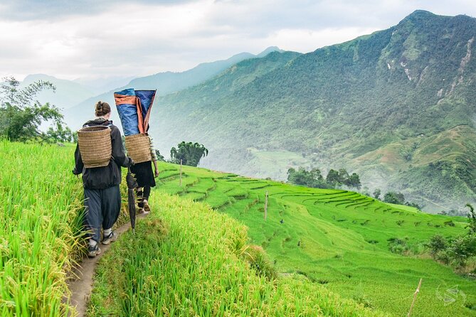 3-Day Sapa Real Valley View Homestay & Fansipan–Roof of Indochina - First views of Sapa and the village trek