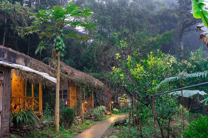 3-Day Trekking Adventure of Sapa from Hanoi - Stay Ta Van Village - Day one: from Hanoi to Y Linh Ho and Ta Van