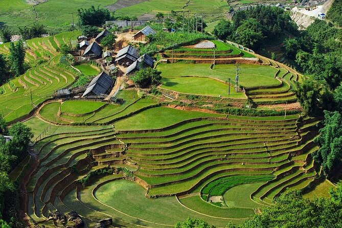 3-Day Trekking Adventure of Sapa from Hanoi - Stay Ta Van Village - Day two: bamboo forest and Giang Ta Chai
