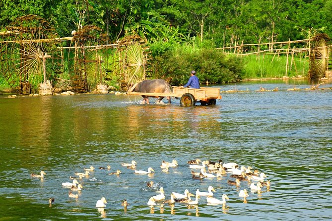 3-Day Trekking In Pu Luong Nature Reserve Private Tour - Why Pu Luong works as a three-day escape from Hanoi