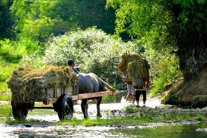 3-Day Trekking In Pu Luong Nature Reserve Private Tour - Day one: a 7-kilometer walk after lunch