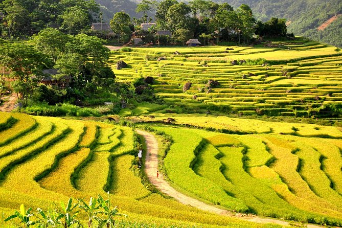 3-Day Trekking In Pu Luong Nature Reserve Private Tour - What the homestays add to the trip