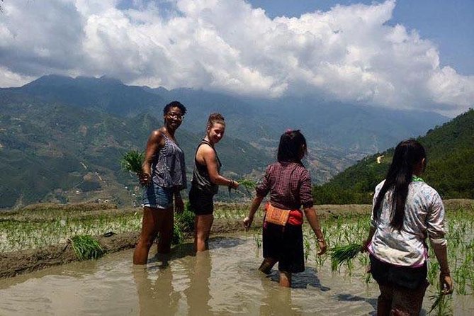 3 Days SAPA Real Experience at Local People House - Day 3: A village morning and the ride back