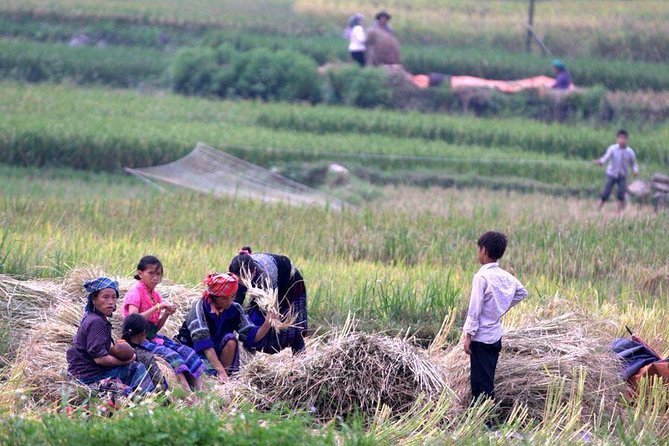 3 Days SAPA Real Experience at Local People House - Who should book this experience?