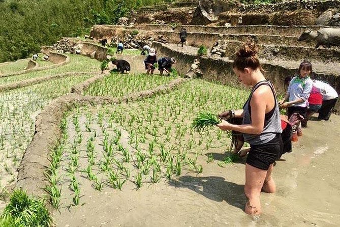 3 Days SAPA Real Experience at Local People House - Ta Van Village and the value of two nights