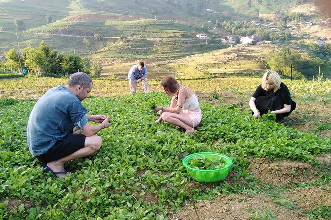 3-Days Sapa Trekking With Local Guide Overnight in Tavan Village - Day two: cooking, bamboo forest, and Giang Ta Chai