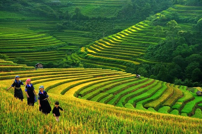 3-Night Sapa Trek and Homestay with Round Trip Transfer from Hanoi - Why this Sapa trip is more than a viewpoint stop