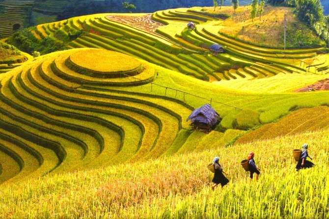 3-Night Sapa Trek and Homestay with Round Trip Transfer from Hanoi - Leaving Hanoi on the overnight train
