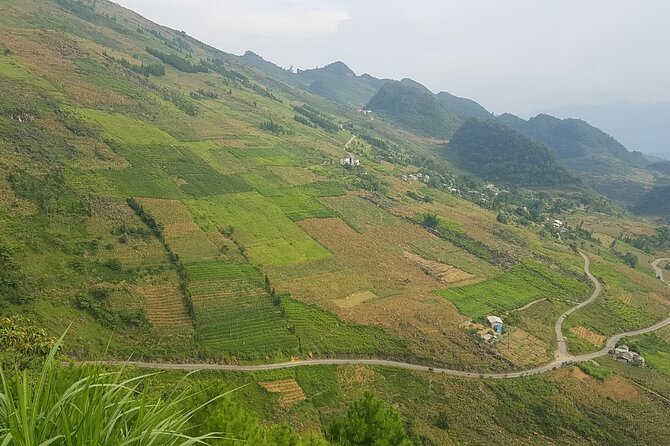 5 Days 4 Nights Ha Giang Easy Driving Motorbike Tours - Homestays, meals, and daily comfort