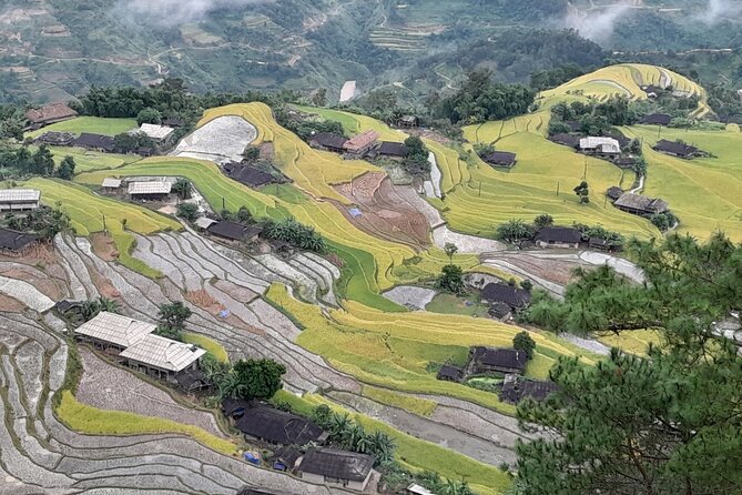 7 Days Dong Van Ha Giang Private Loop Tour with Wellness Programs - Day 4: Buckwheat fields and the story of the rock plateau