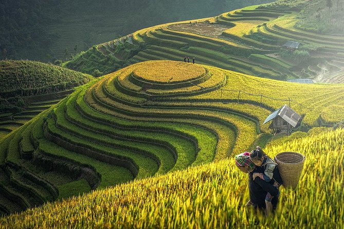 7 Days Package Hanoi- Halong -Sapa-Ninh Binh - Day 5: one more morning on foot, then the road back