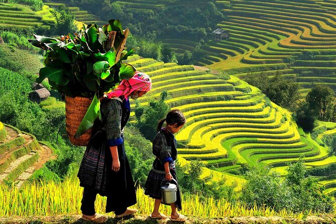 7 Days Vietnam Travel (Hanoi- Ninh Binh - Sapa - Ha Long) - Day 3: Cat Cat Village and Sapa town