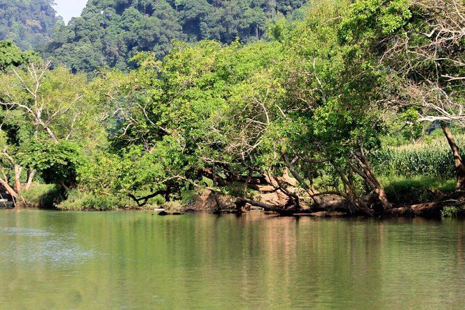 Ba Be Lake & Ban Gioc Waterfall Adventure Tour 3 Days - Day 2: Ban Gioc Waterfall and Nguom Ngao Cave