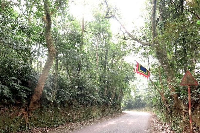 Ba Vi National Park Private Tour: Sightseeings & Jungle Hikking - The 90-minute road trip to the park