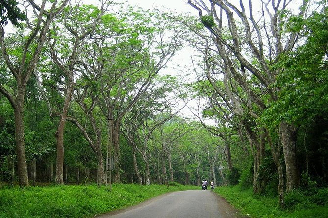 Ba Vi National Park Private Tour: Sightseeings & Jungle Hikking - How the private format affects the day