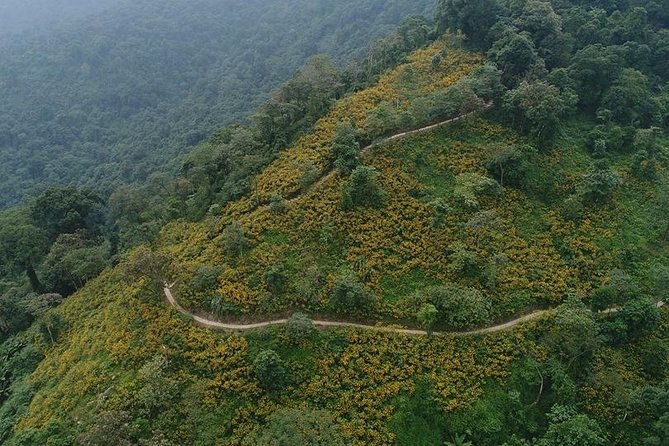 Ba Vi National Park Private Tour: Sightseeings & Jungle Hikking - Walking among the Bavi Church ruins