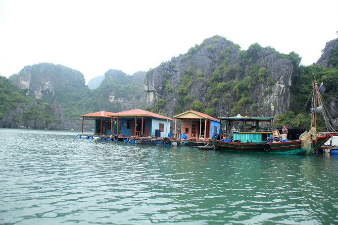Bai Tu Long Bay Boutique Cruise: Visit Bai Tu Long bay & Overnight boat in 2 day - Pearl farming, swimming, and open water