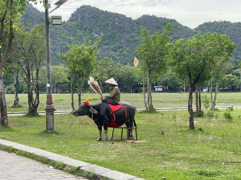 Best Ninh Binh Tour 1-Day, Small Group - Multiple Options - Mua Cave and the climb to Ngoa Long Mountain