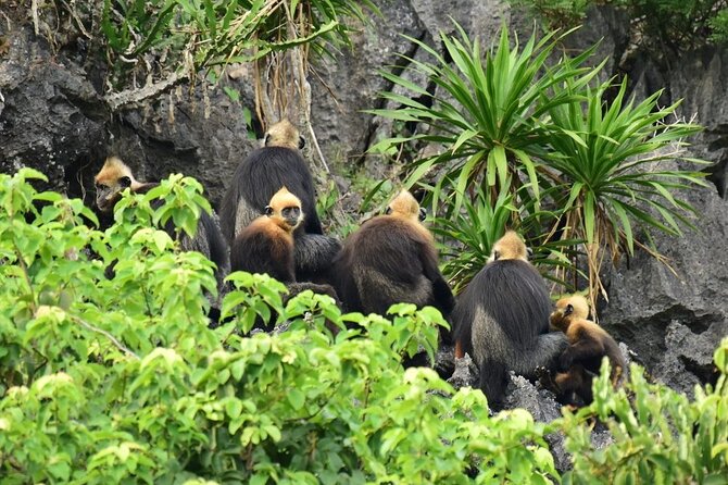 BEST UNIQUE 3-Day Halong Bay Cruise, Lan Ha & Cat Ba Island - Crossing to Cat Ba Island