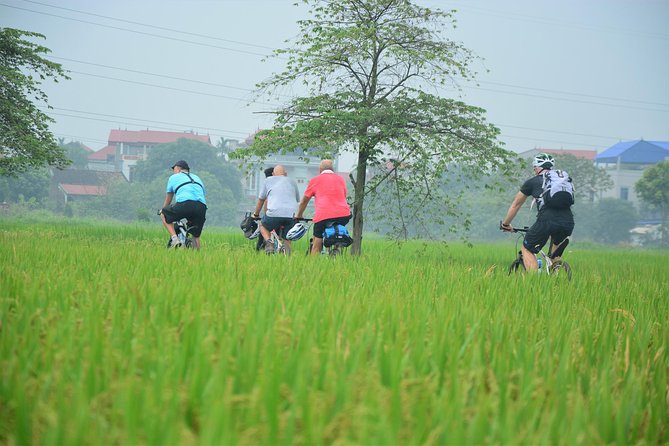 Bicycle Tours Hanoi: Full Day Bicycle Tour Hanoi Countryside - Meeting a bonsai-growing family in Lai Da