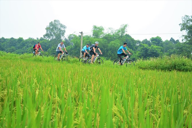 Bicycle Tours Hanoi: Full Day Bicycle Tour Hanoi Countryside - The afternoon ride through villages and fields