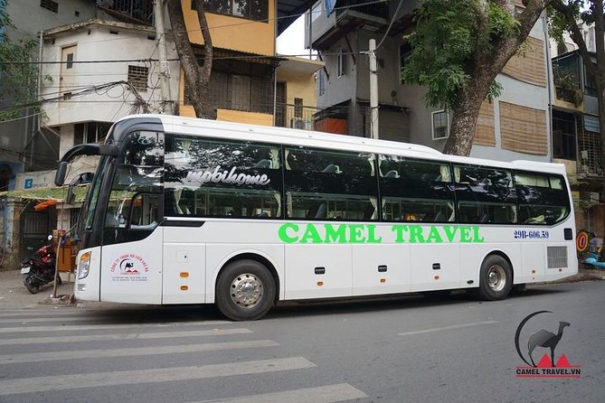 Bus ticket Ninh Binh To Phong Nha - Who should book this bus