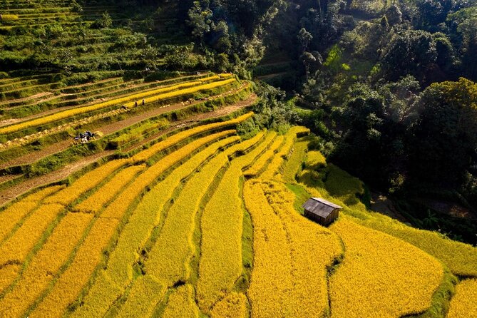 Cao Bang Loop Tour 3D2N by Motorbike, Car or Jeep - Ban Gioc Waterfall and the border-country scenery