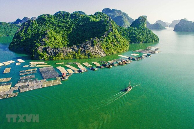 Cat Ba Cruise 2 Days 1 Night - Day two: cycling through Viet Hai Village