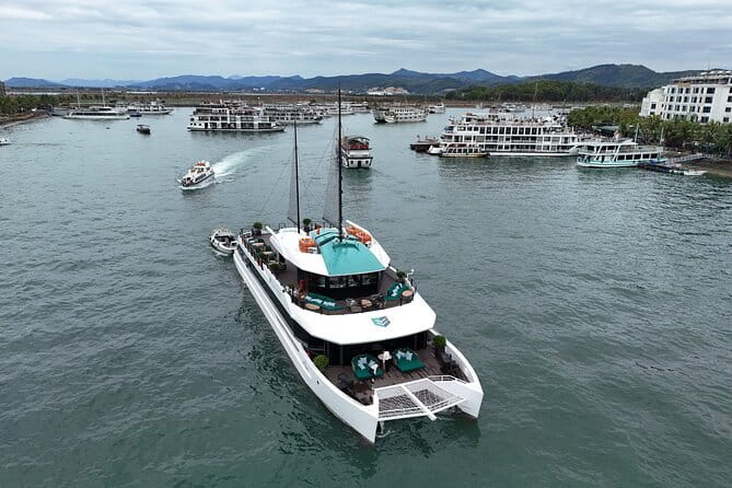 Catamaran Premium Cruise to Halong Bay & Lan Ha Bay in 1 Day Tour - Key points to know before booking