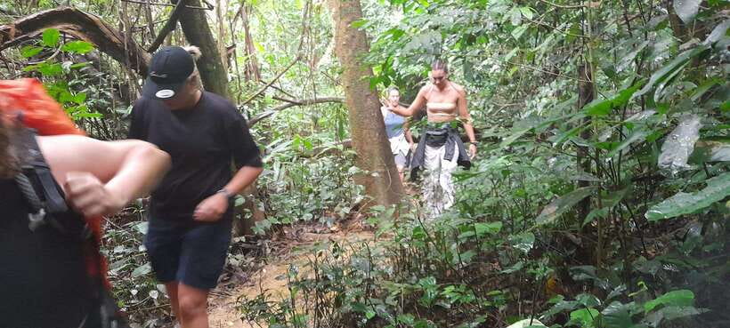 Cuc Phuong National Park Hiking Tour - Why Cuc Phuong makes a good day away from Hanoi