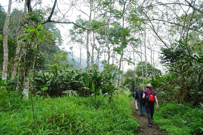 Cuc Phuong National Park Private Day Tour: Trekking & Primates - Lunch at a Jungle Stilt House