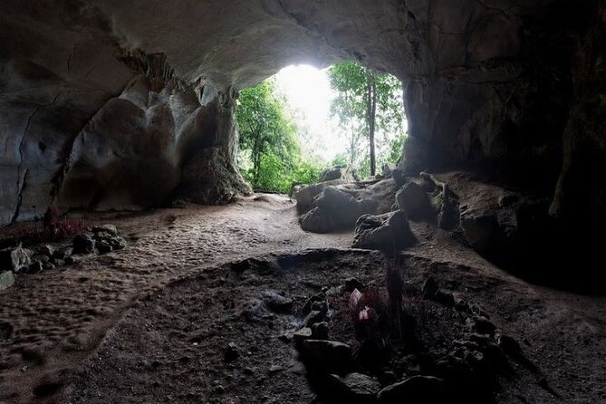 Cuc Phuong National Park Private Day Tour: Trekking & Primates - Who Should Book This Cuc Phuong Tour?